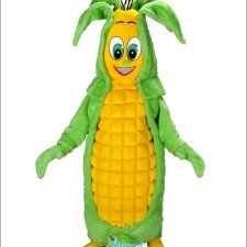 The Dos and Don'ts of Wearing a Raccoon Mascot Costume at Public Events 