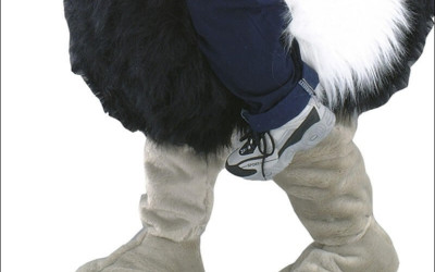 Custom Fox Mascot Costumes: Adding a Unique Touch to Your Brand 