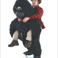 Affordable Mascot Costumes: Budget-Friendly Options for Every Event 