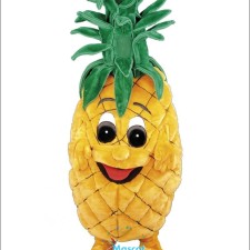 Animal Rights and the Use of Rabbit Mascot Costumes 