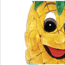 Real-Life Stories: People Who Wore the Wildcat Mascot Costume 