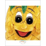 Pineapple Mascot Costume