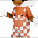 Cute Fox Mascot Costume