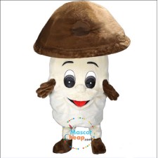 Cheap Lion Mascot Costumes for Kids: Fun and Affordable 