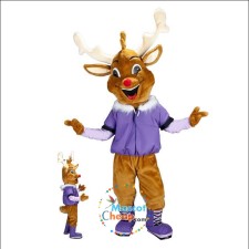 Affordable Wolf Mascot Costumes for Fundraising Events 