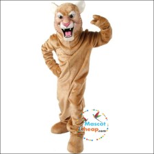 How to Customize Your Bearcat Mascot Costume 