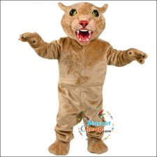 Bobcat Mascot Costumes Through the Lens of a Photographer 