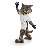 Cute Bobcats Mascot Costume