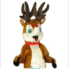 The Most Expensive College Mascot Costumes in the Country 