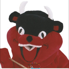 Cheap Dog Mascot Costumes: Fun and Affordable Choices 