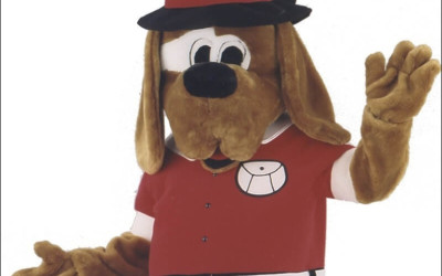 Get Your Hands on Cheap Alligator Mascot Costumes This Season