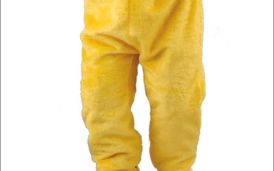 Affording the Flap: Tips for Buying Less Expensive Bird Mascot Costumes 