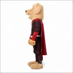 Dog retriever Mascot Costume