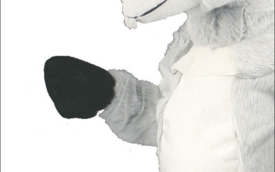 From Sketch to Reality: Designing Cobra Mascot Costumes