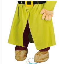 Cheap Mascot Costumes for School Events 
