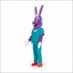 Dr Rabbit Mascot Costume