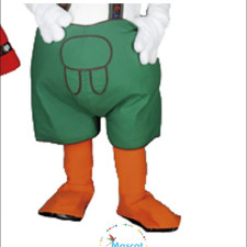 Frugal Ways to Get School Mascot Costumes 