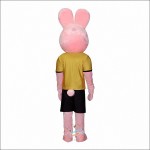 Duracell Rabbit Mascot Costume
