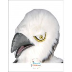 Long Plush Eagle Mascot Costume