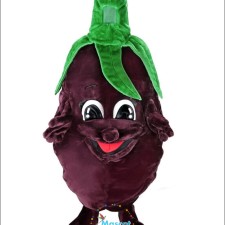 Soar into Savings with These Affordable Bird Mascot Costumes 