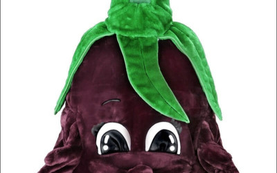 Butterfly Mascot Costume Maintenance: Keeping Them Pristine