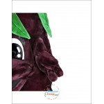 Eggplant Mascot Costume