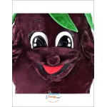 Eggplant Mascot Costume