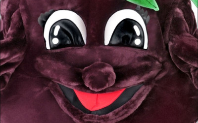Incredible Bird Mascot Costumes for Every Occasion 