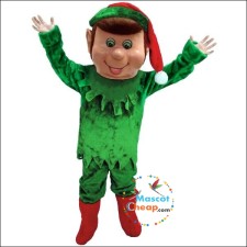 Inexpensive Mascot Costumes for School Teams 