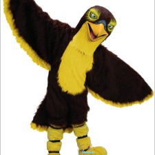 Customizing Bull Mascot Costumes for Your Brand 