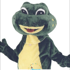 Cheap Mascot Costumes: Tips and Tricks for Buyers 