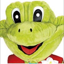 Affordable Veggie Mascot Outfits Perfect for Preschoolers 