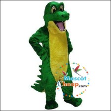 Low-Cost, High-Spirited: Raccoon Mascot Costumes for Less 