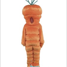 Comparing Different Styles of Bird Mascot Costumes 