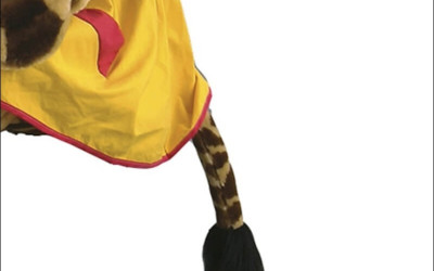From Small to Tall: Cheap Raccoon Mascot Costumes for All Sizes 