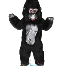 Cat Mascot Costumes for Children's Parties: Safe and Fun Design Choices 