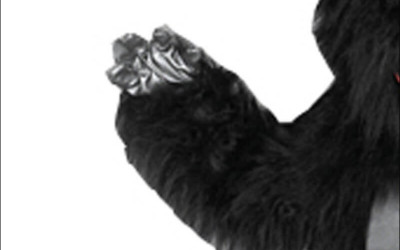 Tips for Customizing Your Own Cat Mascot Costume