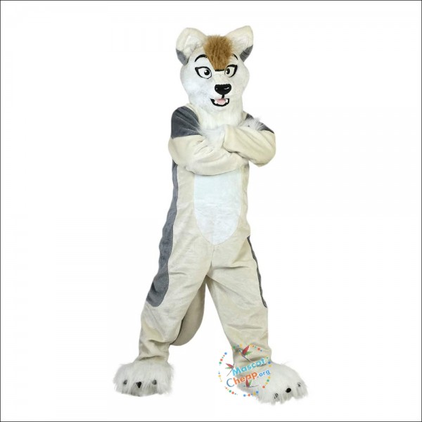 Grey Fox Dog Husky Cartoon Mascot Costume
