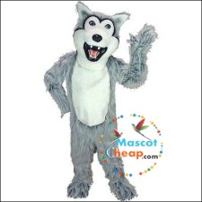 The Manufacturing Process Behind Professional Raccoon Mascot Costumes 