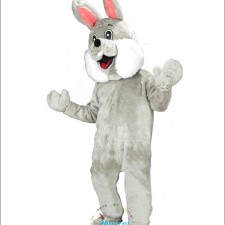 How to Organize a Bearcat Mascot Costume Contest at Your School 