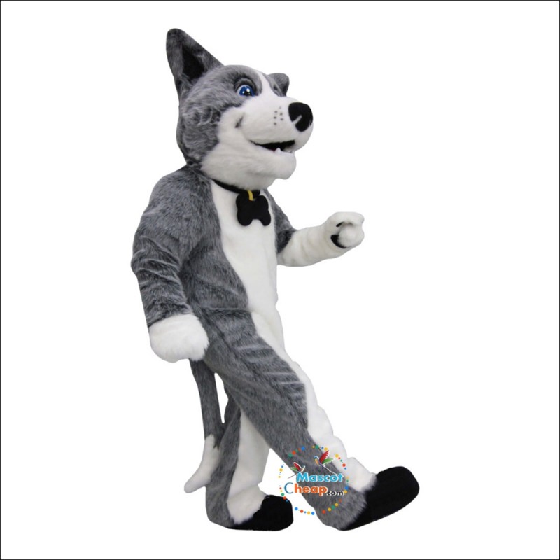 rufus dog rufus dog