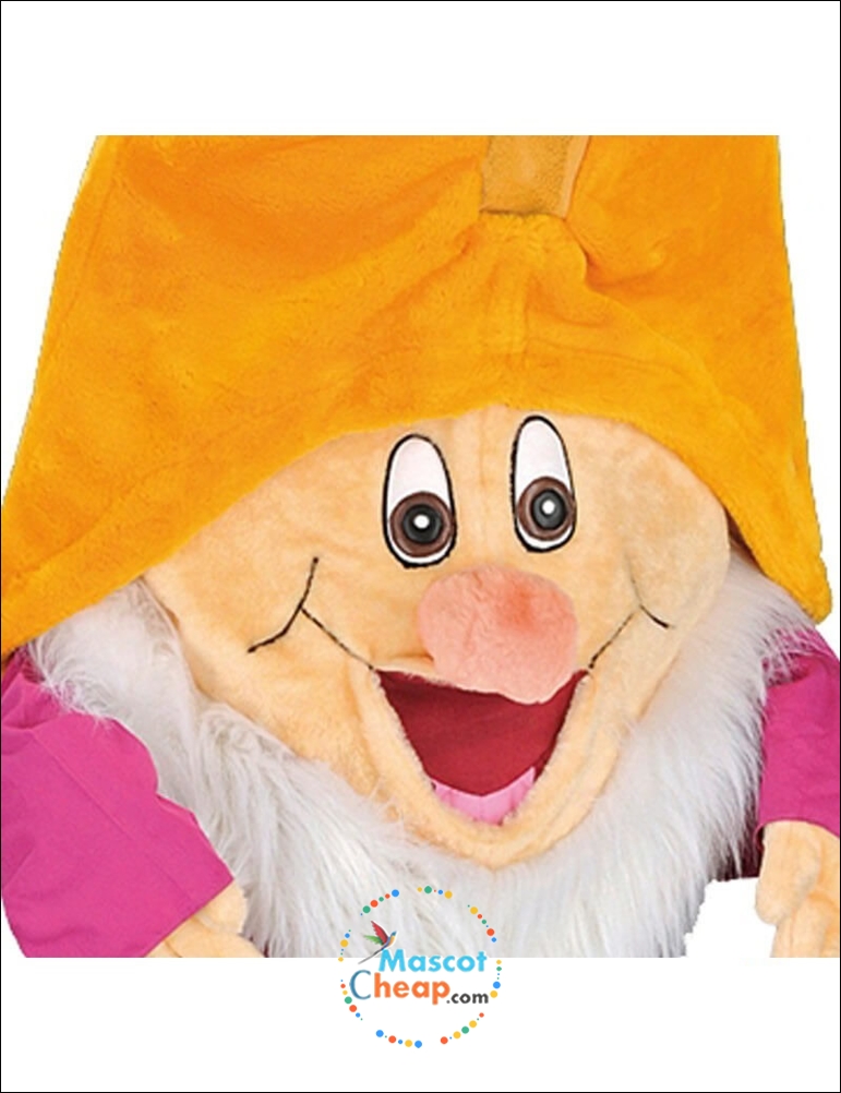 Happy 7 Dwarfs Mascot Costume