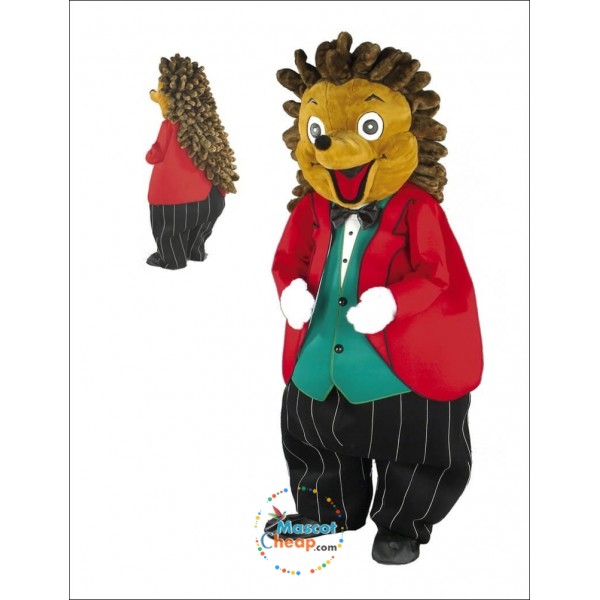 Cute Friendly Hedgehog Mascot Costume