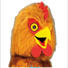 Testimonials: What People Are Saying About Eagle Mascot Costumes 