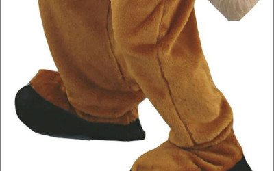 Affordable and Realistic: The Best Cheap Lion Mascot Costumes
