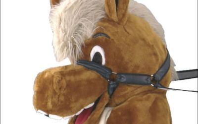 How to Make a DIY Cat Mascot Costume from Scratch 