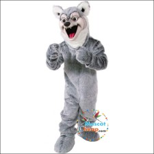 Testimonials from People Who Bought Dragon Mascot Costumes 