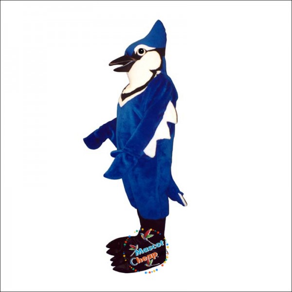 Jennie Blue Jay Mascot Costume