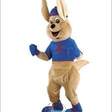 The Joy of Saving: Cheap Cat Mascot Costumes Under $20 