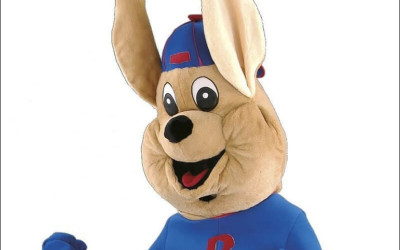 Canine Celebrities: Hollywood-Inspired Dog Mascot Costumes